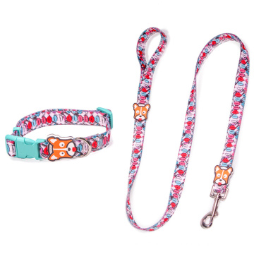 Fashion Nylon Pet Products Dog Collar Leash
